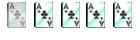 Membre