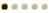 Paléopassionné