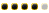 Fidèle