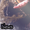 New posts [ Popular ]