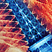 New posts