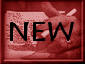 New posts
