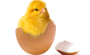 http://img2.xooimage.com/files/2/4/c/oeuf-f396ab.png