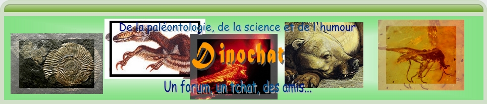 Dinochat Forum Index