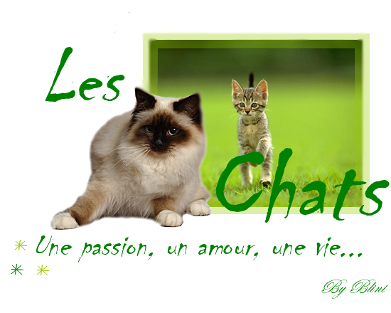 Les Chats