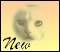 New posts