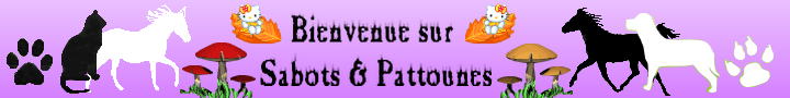 Sabots & Pattounes Forum Index