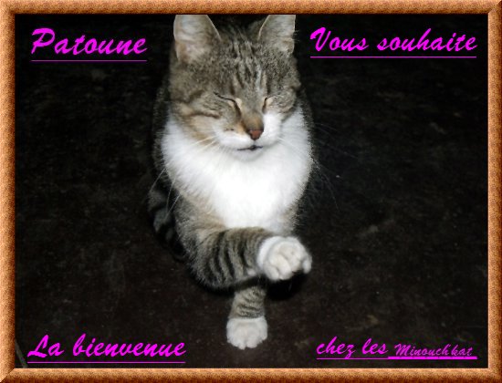 minouch'kat Forum Index
