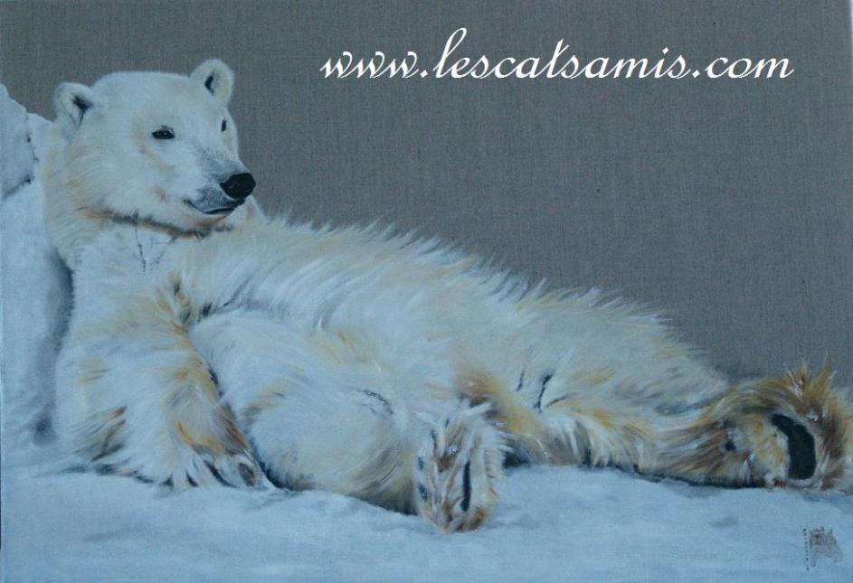 Lescat'samis Forum Index