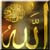 http://img2.xooimage.com/files/3/6/a/allah-2cd865.jpg