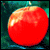 New posts