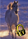 Forum is locked