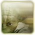 No new posts