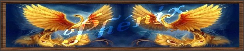 Le Phénix Forum Index