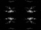 New posts