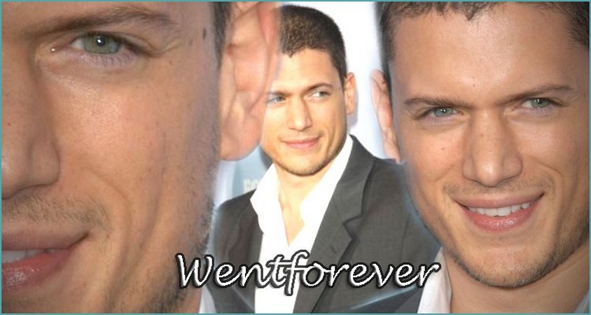 WentForever Forum Index