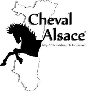CHEVAL ALSACE Forum Index