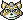 fox fox