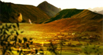 http://img2.xooimage.com/files/5/8/7/untitled-9-1550b86.png
