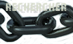Search