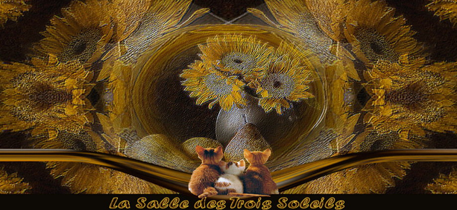 La Salle des Trois Soleils Forum Index