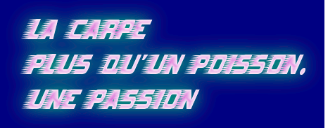 bestouf carpiste 70 Forum Index