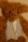 ourson