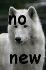 No new posts No new posts