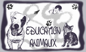 Forum education animaux Forum Index