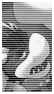 No new posts [ Locked ]