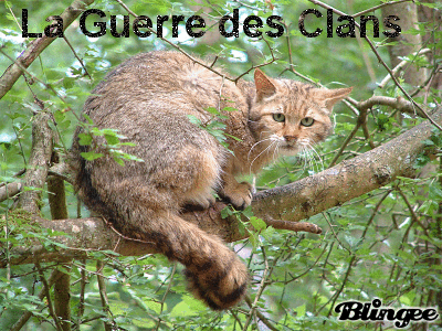 La Guerre des Clans Forum Index