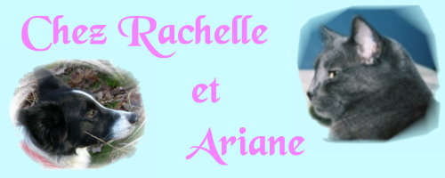 Chez Rachelle & Ariane Forum Index