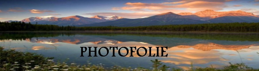 Photofolie Forum Index