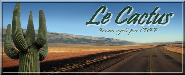 Le Cactus Forum Index