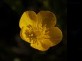   PICTURESLAND Forum Index