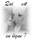 Who is Online
