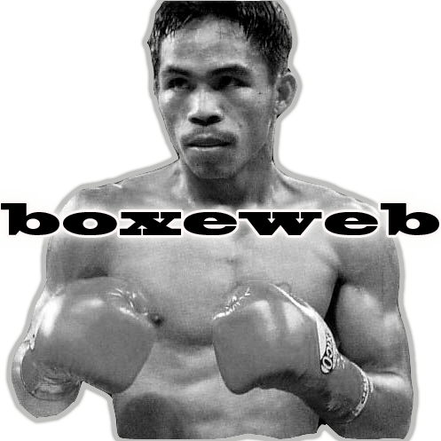 boxe web Forum Index