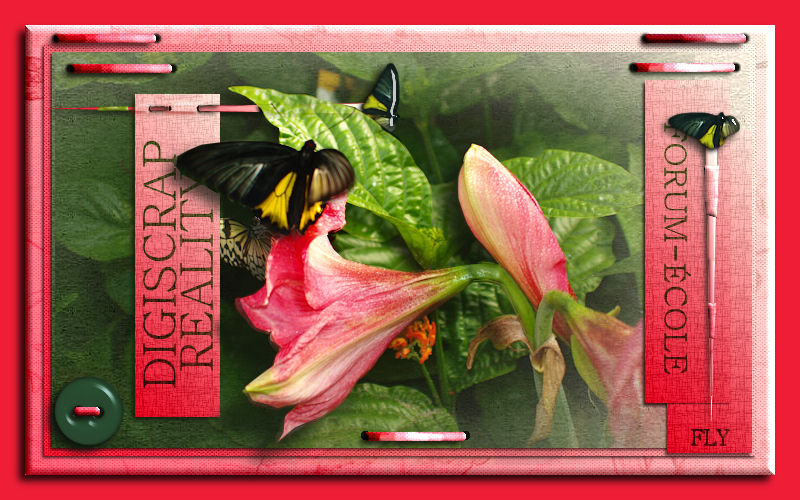 Digiscrap Reality Forum Index