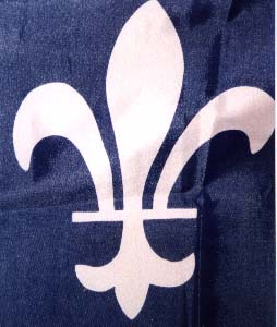 Image: lys-245df5.jpg