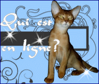 Who is Online