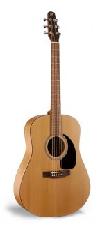 Avec Ma Guitare Forum Index