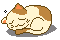No new posts No new posts
