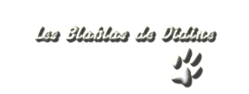 les blablas de didine Forum Index
