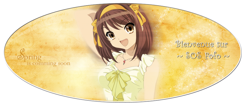 SOS Fofo Forum Index