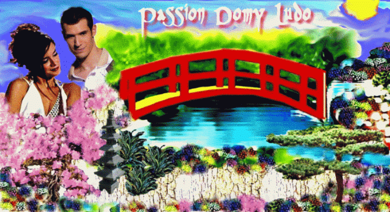 Passion Domy Ludo Forum Index