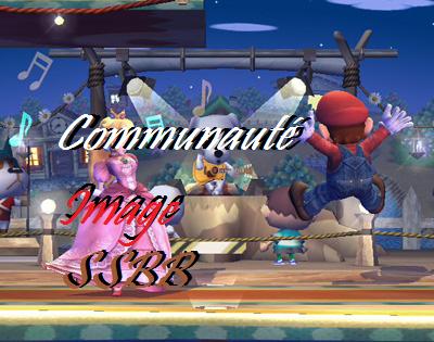Communauté Des Images de Super smash bors brawl et du Japon Forum Index