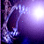 No new posts [ Popular ]
