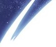 No new posts