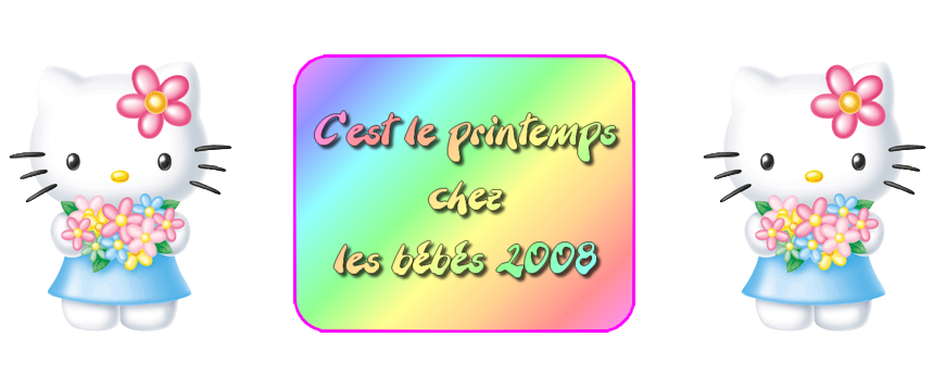  Forum Index
