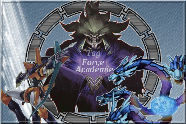 Tag-force-acad&eacute;mie
